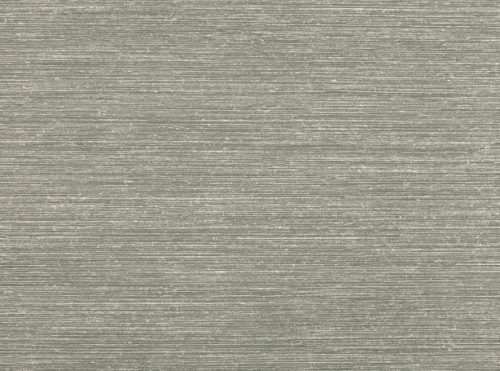Yelena  Shale W542-03